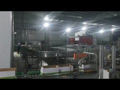 ماشین بسته بندی کارتن، ماشین پالتیزاسیون ربات