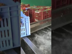 ماشین لباسشویی میوه/سبزیجات نوع حباب، ظرفیت تولید می تواند سفارشی شود