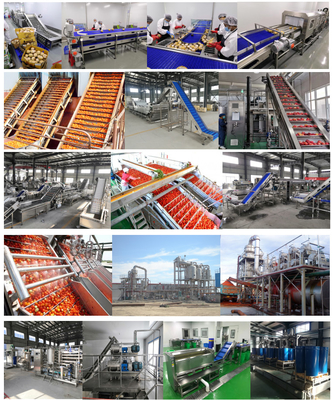 Strawberry In Syrup Canning Production Line Capacity Customized
